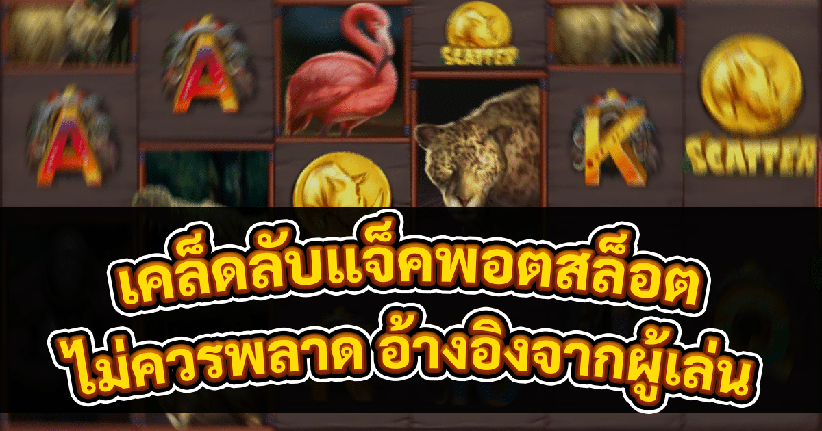 เคล็ดลับแจ็คพอตสล็อต